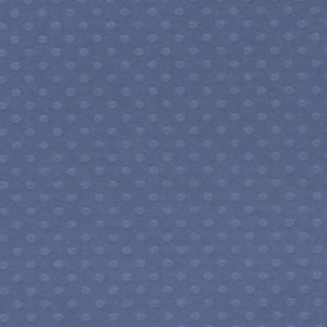 Bazzill Basics - DOTTED SWISS / Night Water - scrapbooková čtvrtka