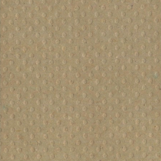 Bazzill Basics - DOTTED SWISS / KRAFT - scrapbooková čtvrtka