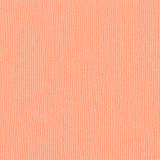 Bazzill Basics - CANVAS / CORAL CREAM - scrapbooková čtvrtka