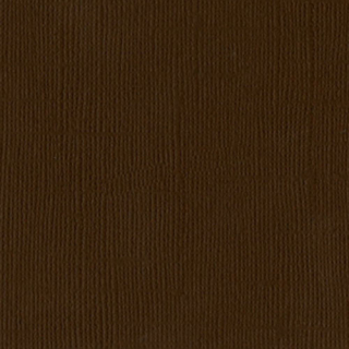 Bazzill Basics - CANVAS / CHOCOLATE - scrapbooková čtvrtka