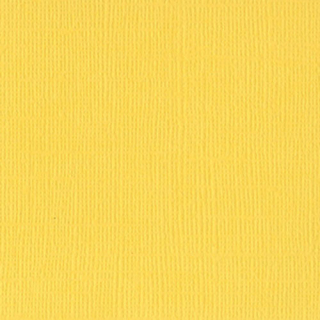 Bazzill Basics - CANVAS / SUNBEAM - scrapbooková čtvrtka