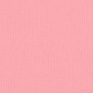 Bazzill Basics - CANVAS / BLOSSOM - scrapbooková čtvrtka
