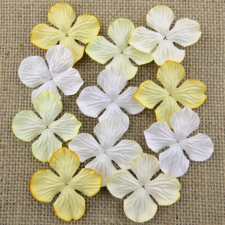 *** Papírové kytičky - HYDRANGEA BLOOMS / MIXED YELLOW 25 mm (100 ks)