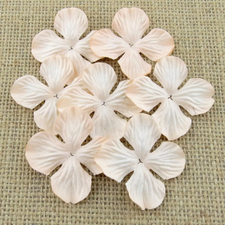 *** Papírové kytičky - HYDRANGEA BLOOMS / PALE PEACH 25 mm (100 ks)