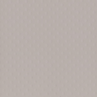 Bazzill Basics - DOTTED SWISS / Front Porch - scrapbooková čtvrtka