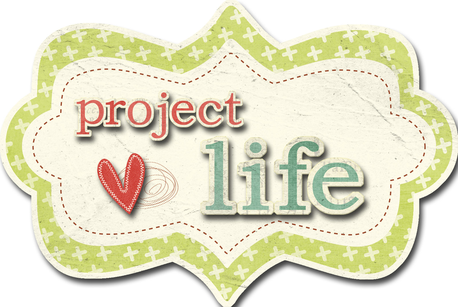 project life