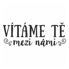 Keta (785) - VÍTÁME TĚ MEZI NÁMI - cling razítko