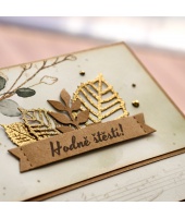 41134_54fa5d397e35b1bead1dc8bce52ea0cd