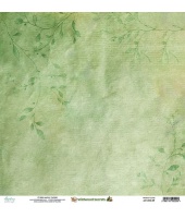 41322_c97be70f2ded720065b4a8043658e452