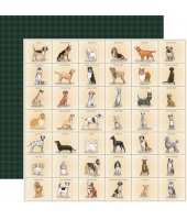 41389_9ce6bdb5128546358ef9fd537ca23175